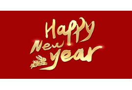 Tongya 2023 Spring Festival Holiday Notice